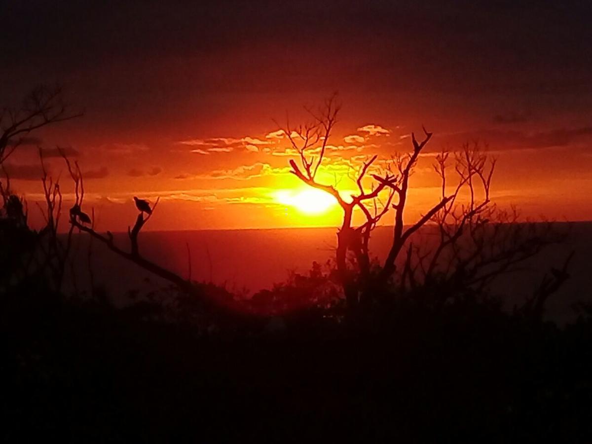 Wailana Lodge Ramsgate  Buitenkant foto